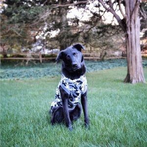 Glow-In-The-Dark Dog Sweater